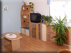 Apartments for rent