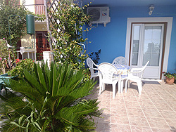 Barbat