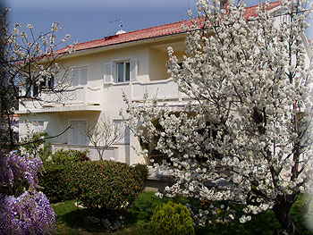 Island Rab Croatia
