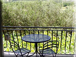 Apartments for rent