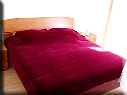 Apartments for rent