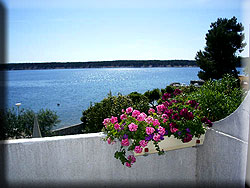 Isola