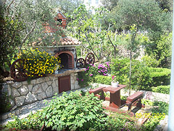 Apartments for rent