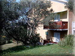 Apartments for rent