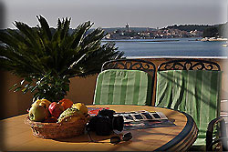 Holiday Rab