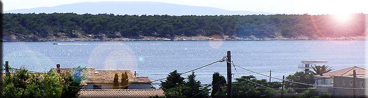 Barbat